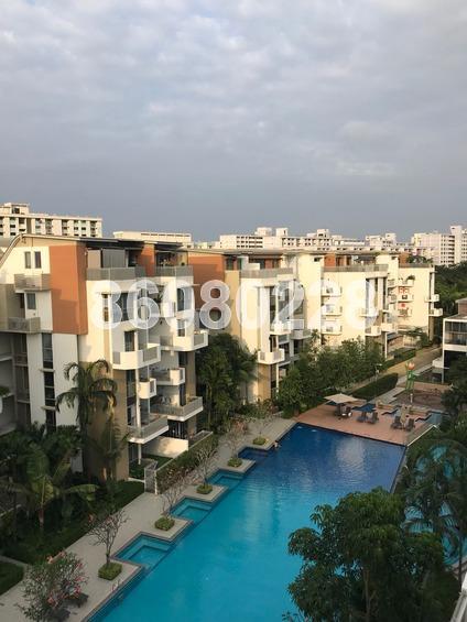Terrasse (D19), Condominium #166053162